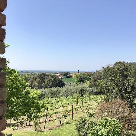 Villa Agriturismo La Leccia Bibbona Exterior foto