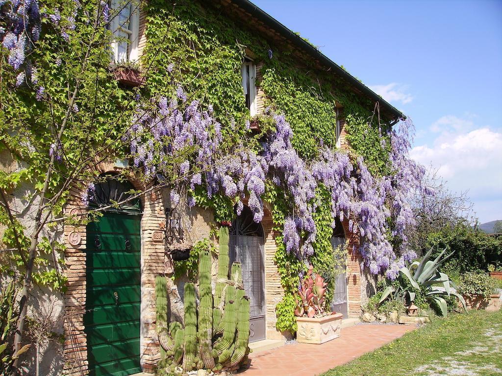 Villa Agriturismo La Leccia Bibbona Exterior foto