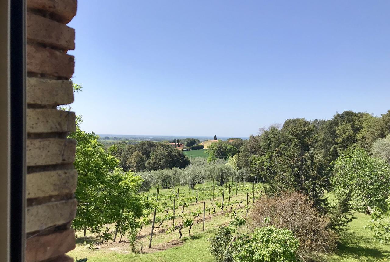 Villa Agriturismo La Leccia Bibbona Exterior foto